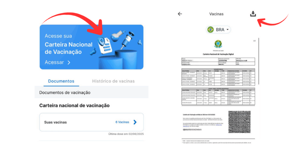 carteira nacional de vacinação